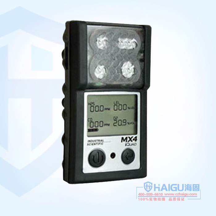 气体检测仪MX4