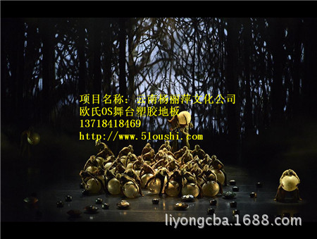 杨丽萍文化公司1_副本