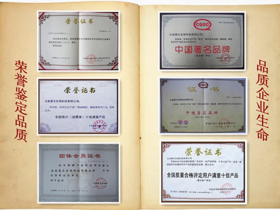 22-荣誉