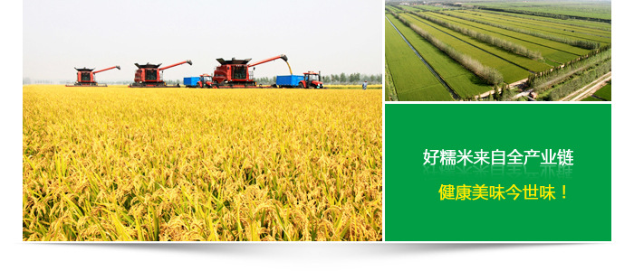 20140508B6800X4J8R (1)