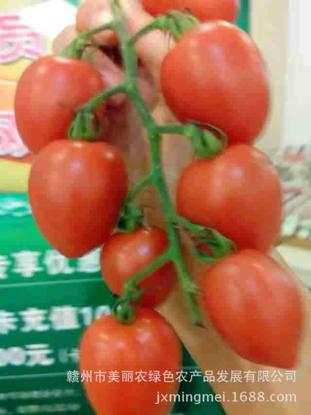 mmexport1402992613747