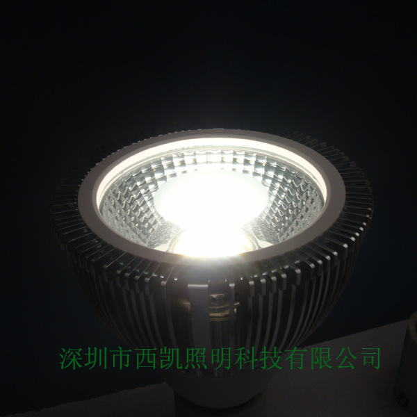 DSC06906