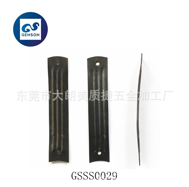 GSSS0029