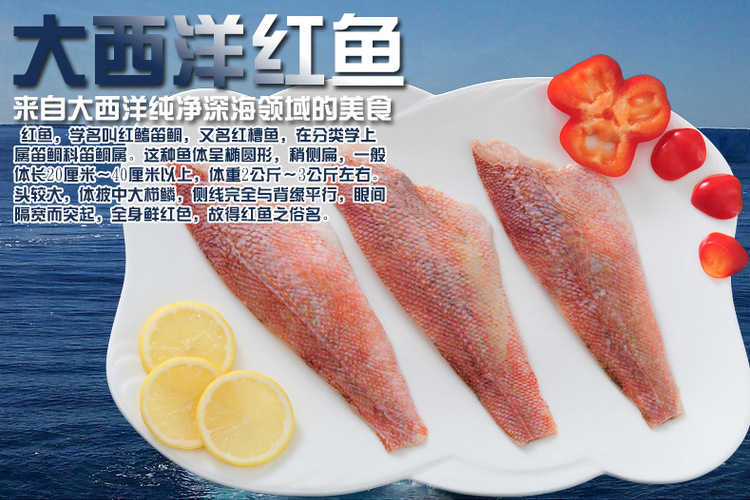 批发超级新鲜深海野生冰鲜 美 国红鱼 营养丰富肉质细嫩刺少.