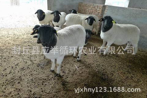调整大小 P1090824