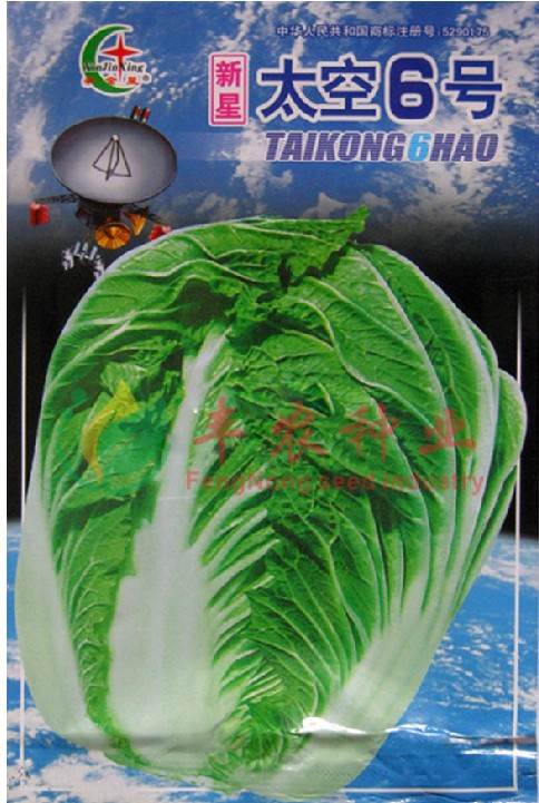 包菜白菜速生抗热叶菜种子菜籽【新夏阳早50】高产抗病害 10g
