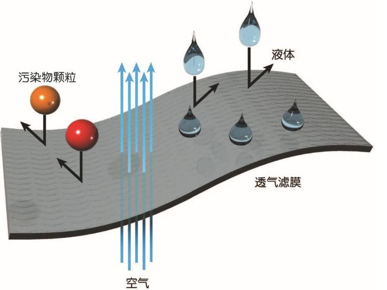 QQ图片20140905152742