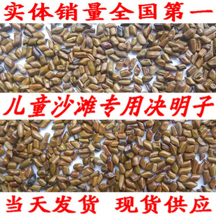 产地直销儿童沙滩玩具决明子批发 枕头芯填充决明子 源头现货供应