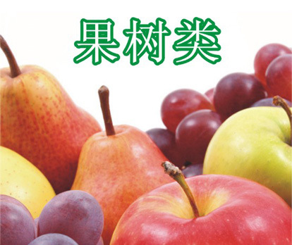 果树类