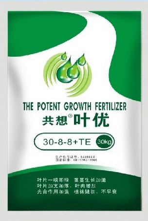 叶优