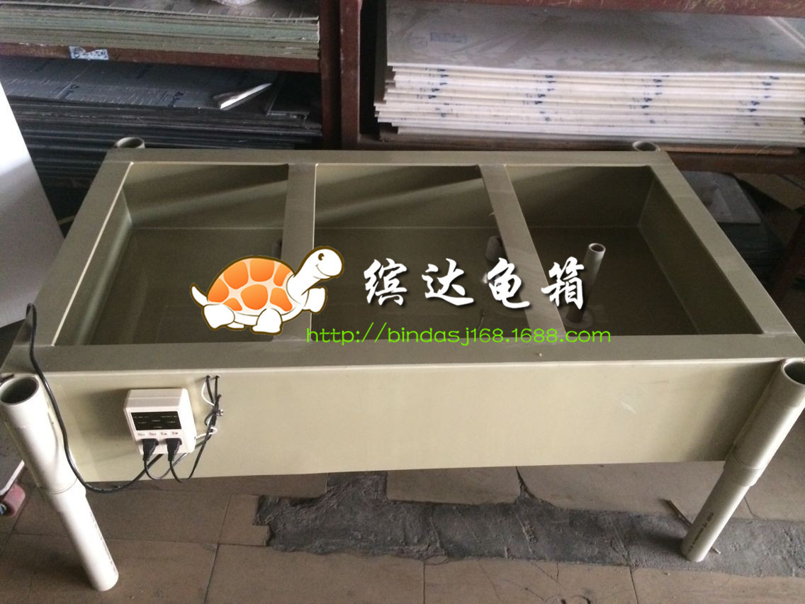 简易龟苗保温箱 水龟苗pp塑料龟池恒温设备龟苗养殖龟缸可定做