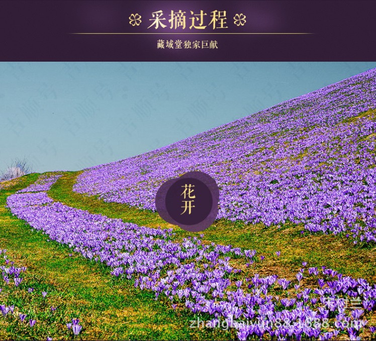 详情26