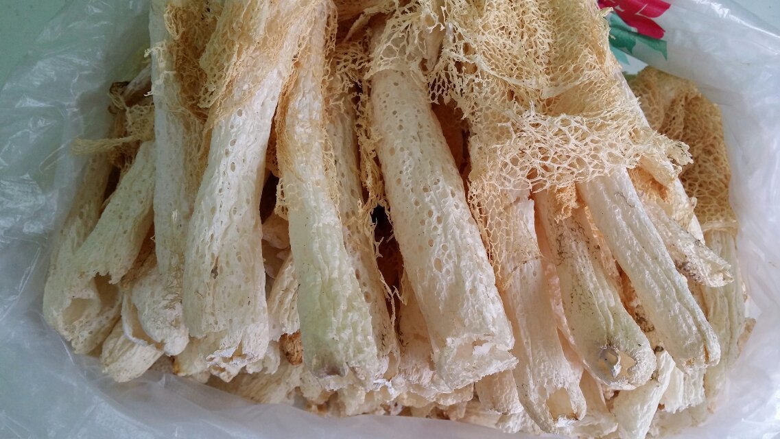 野生食用菌黑虎掌菌食用菌一级干货美味食用菌特价批发