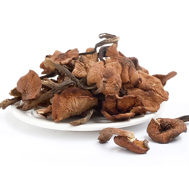 东北野生榛蘑菇干货500g,小鸡炖蘑菇长白山新货批发