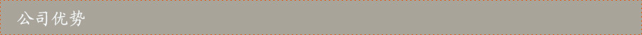 公司优势