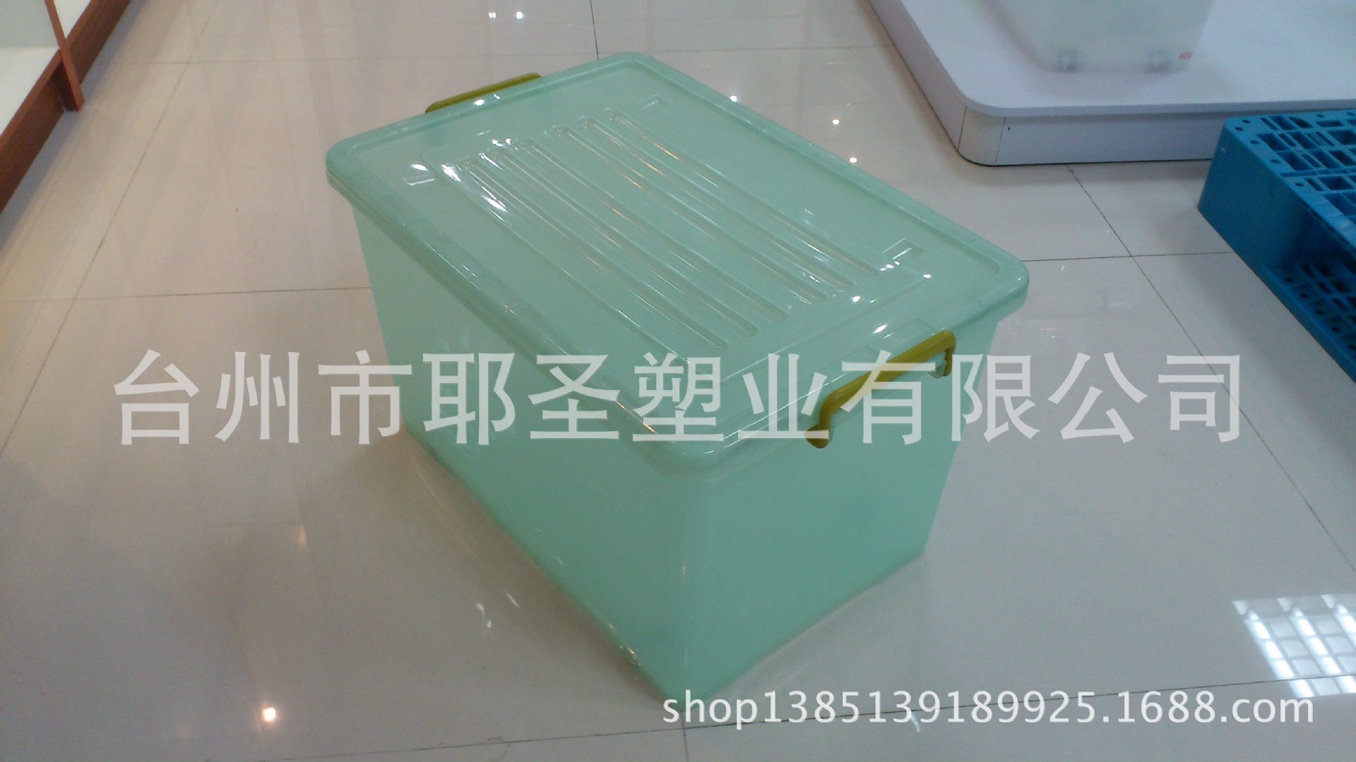 志光161绿色半透明