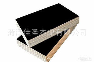 全国招商供应杨木建筑模板、木板材、多层板 黑色多层板 黑色覆膜板