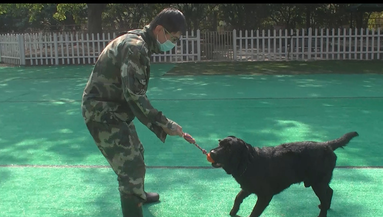 QQ截圖20140103104039