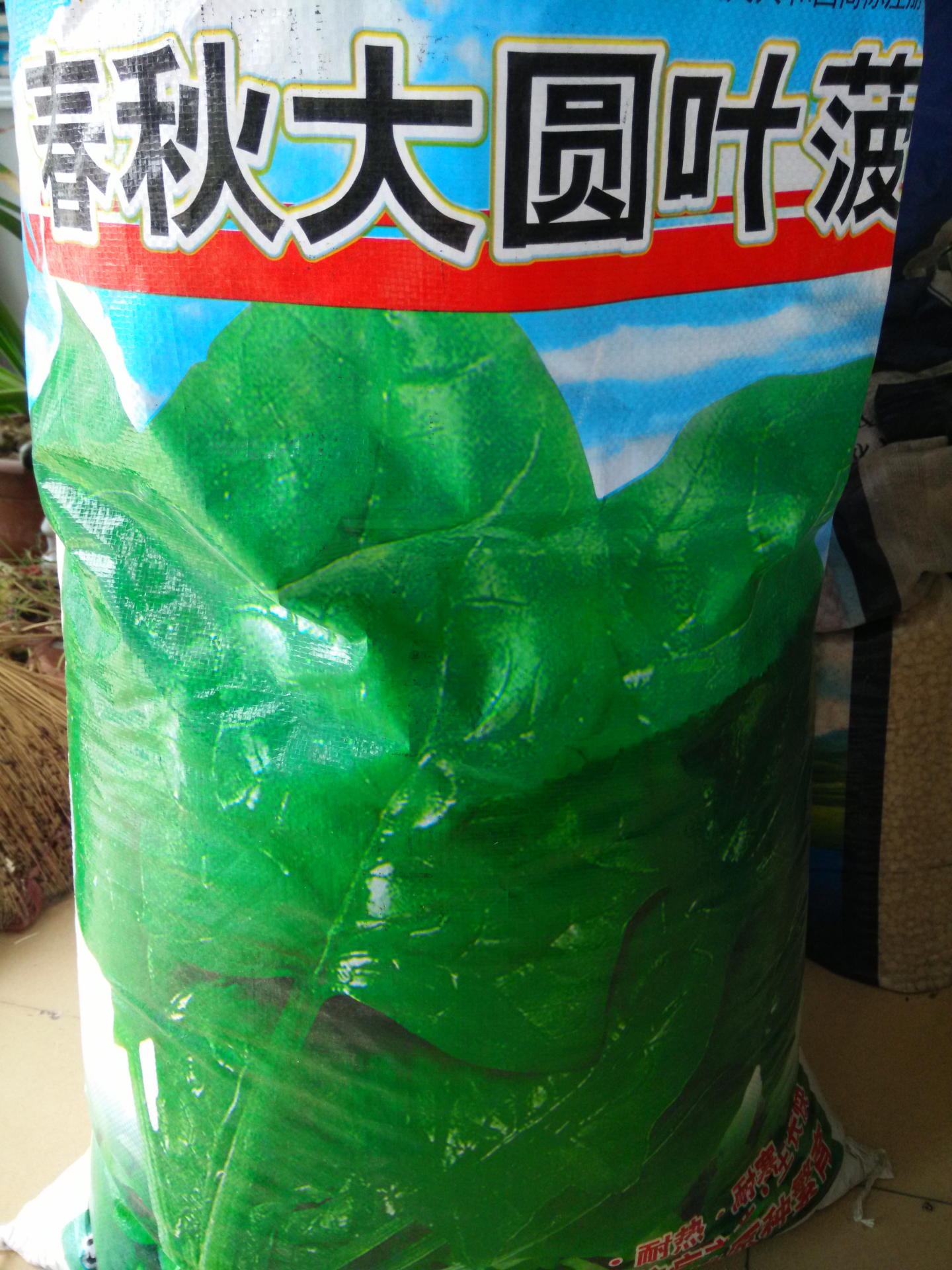 IMG20140917103919
