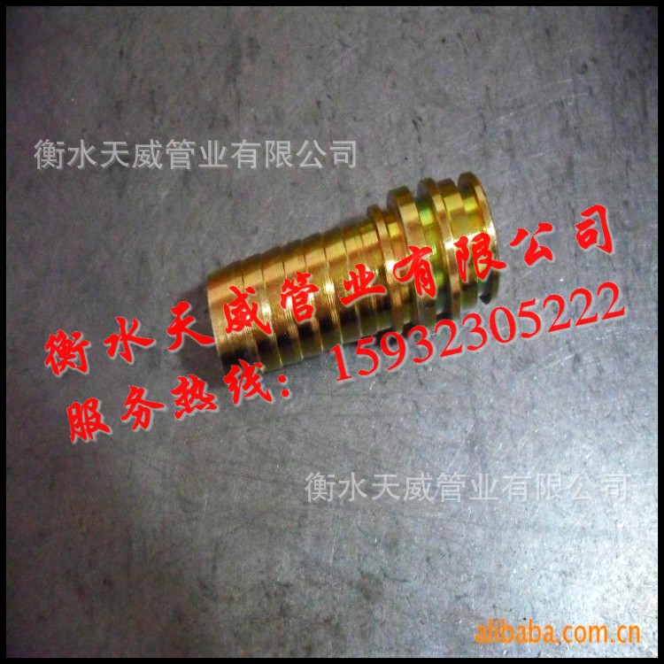 conew_conew_104963872_56552718