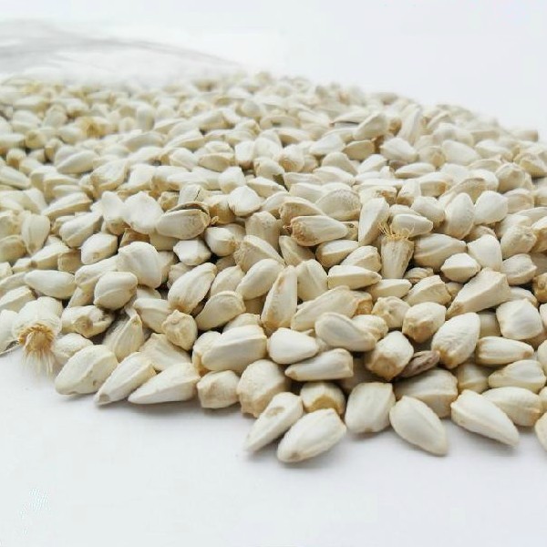 컨 ʳ ǲѪر ĸ250g