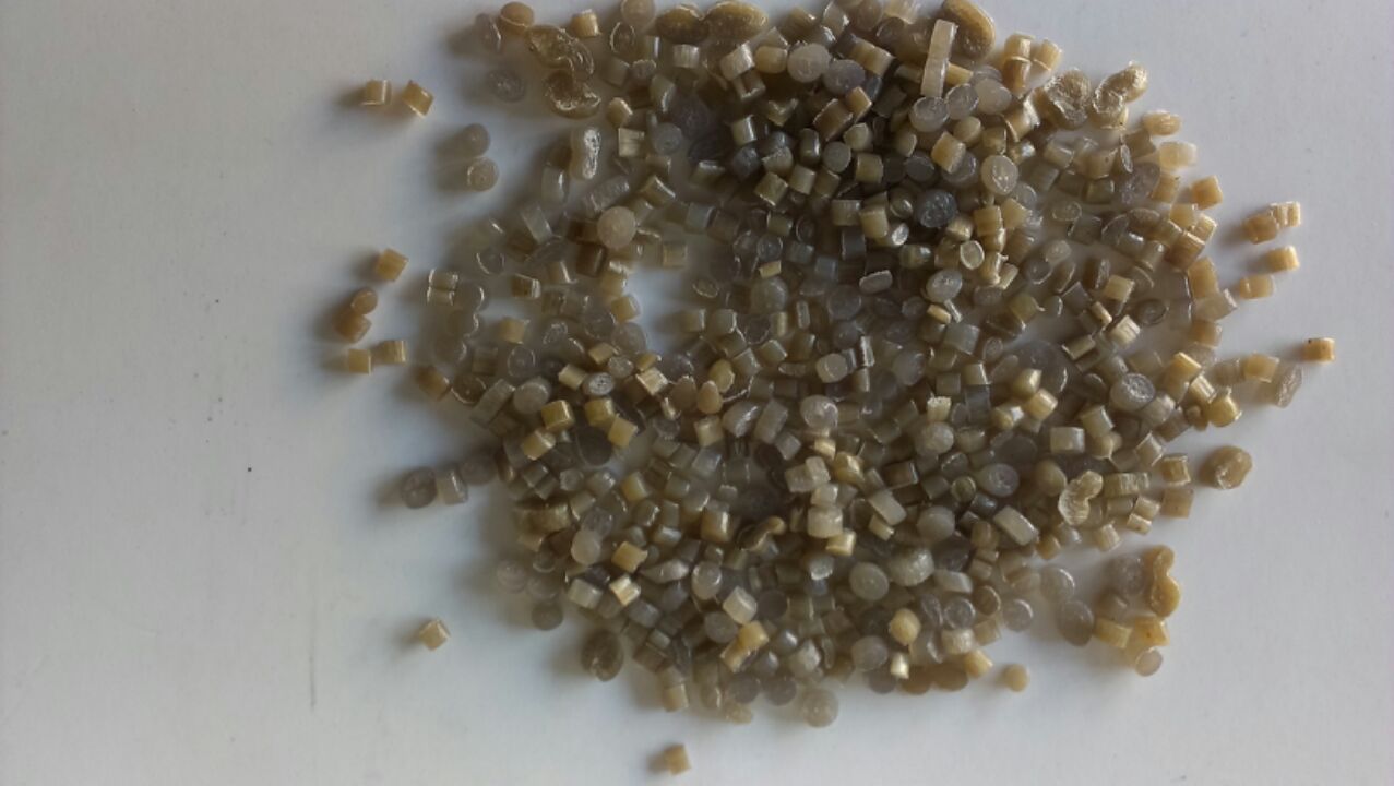 PART_1388389274809_IMAG0026