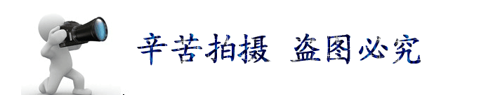 1783132376_1870742453