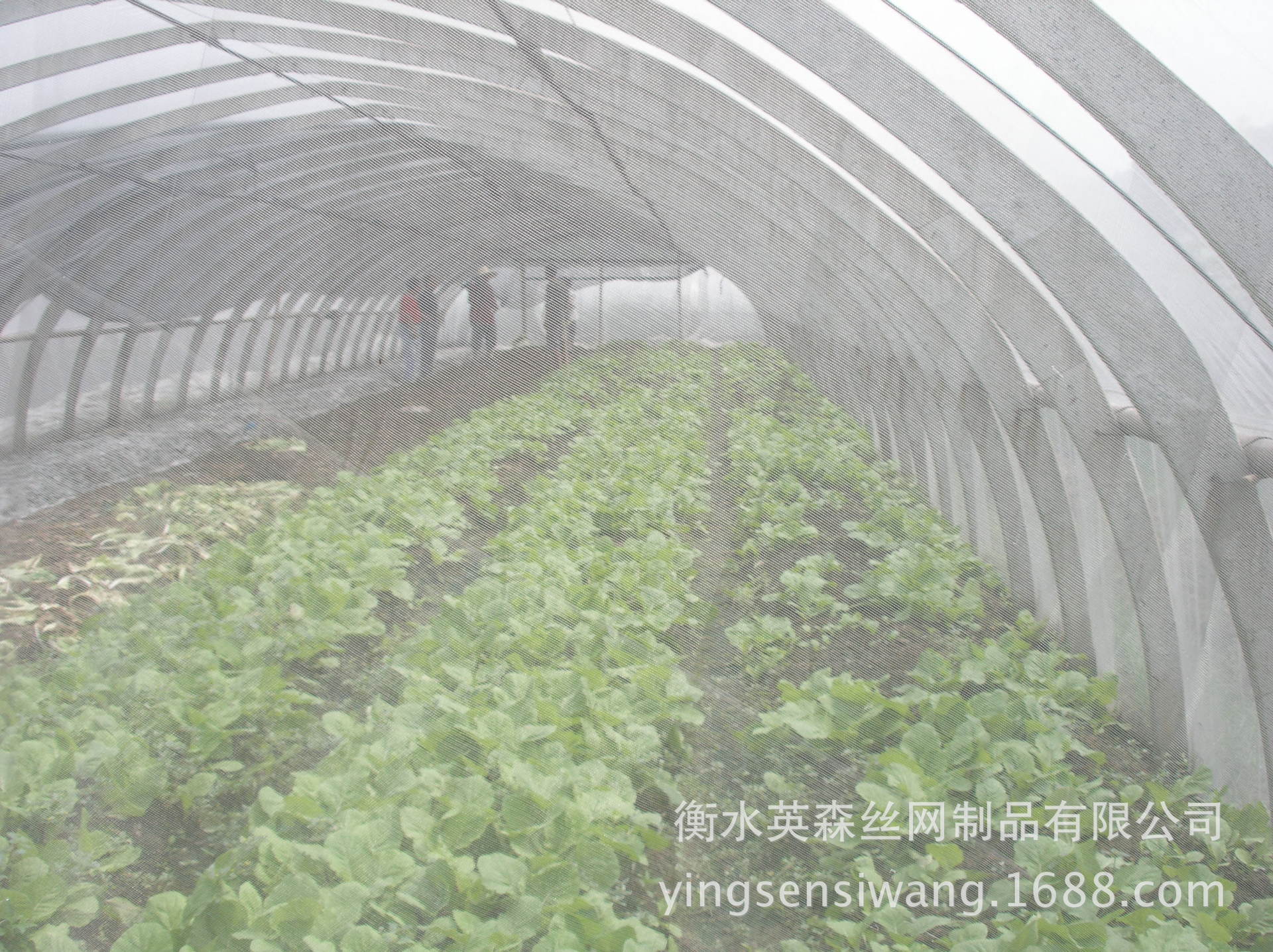 厂家供应 优质蔬菜种植防虫网 量大价优