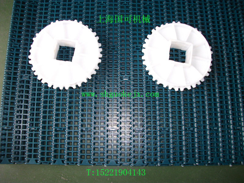 1000平格型网带配链轮-4