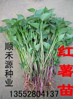 QQ图片20131125190951