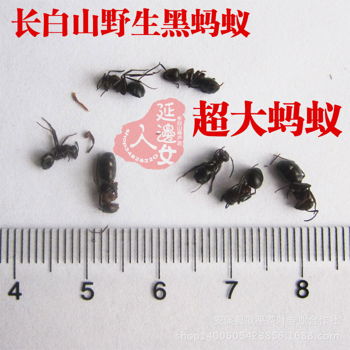 T27kBkXlFaXXXXXXXX_!!54309640