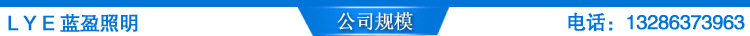 公司规模