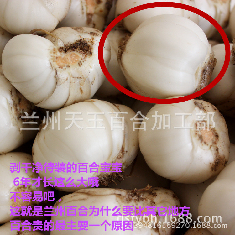 1442393101_1382064318