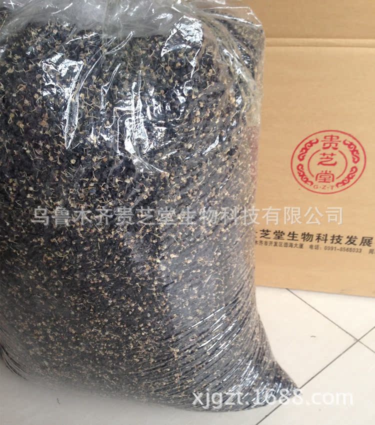 照片 050_副本