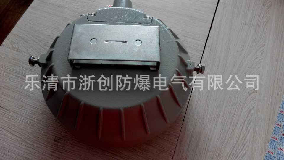 ZC/BYH防爆环形荧光灯22W 18W防爆环形荧光灯厂家定做浙创防爆