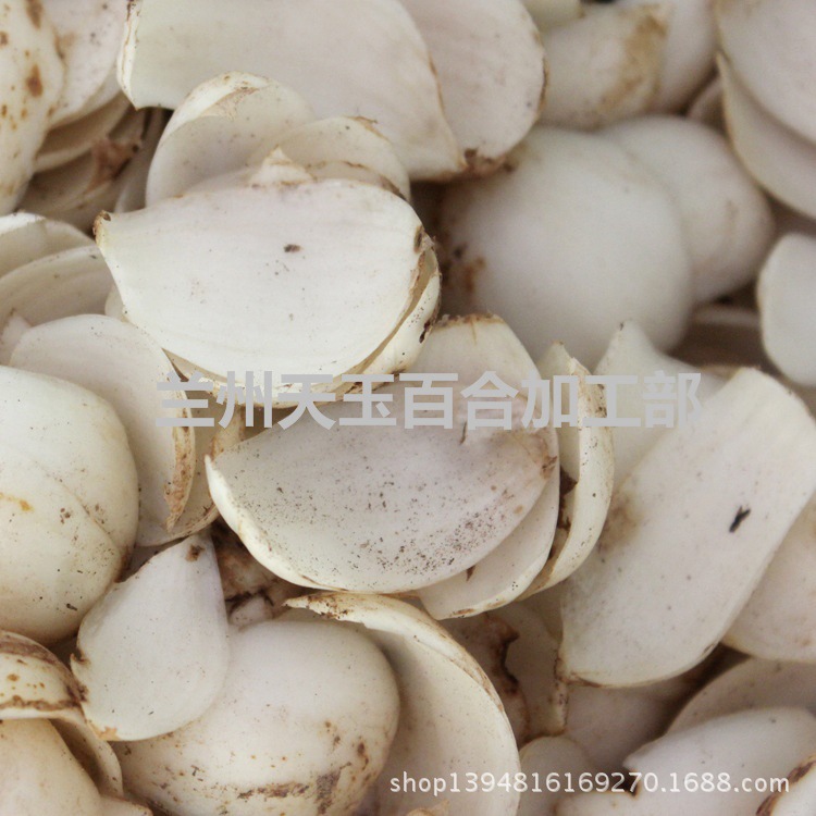 1315969474_1382064318