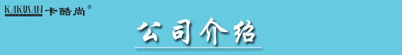 11.公司介绍