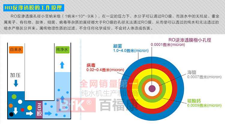 马到成功_20