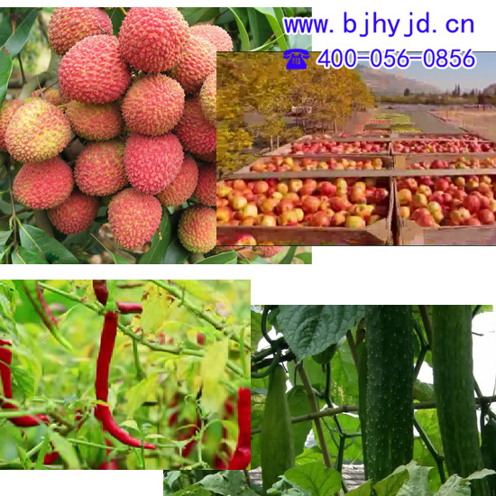 地富原水溶肥料-1