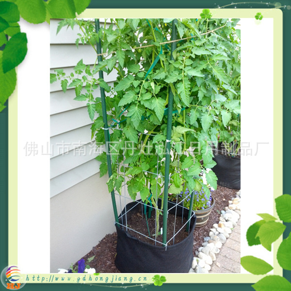tomato stake 20mm