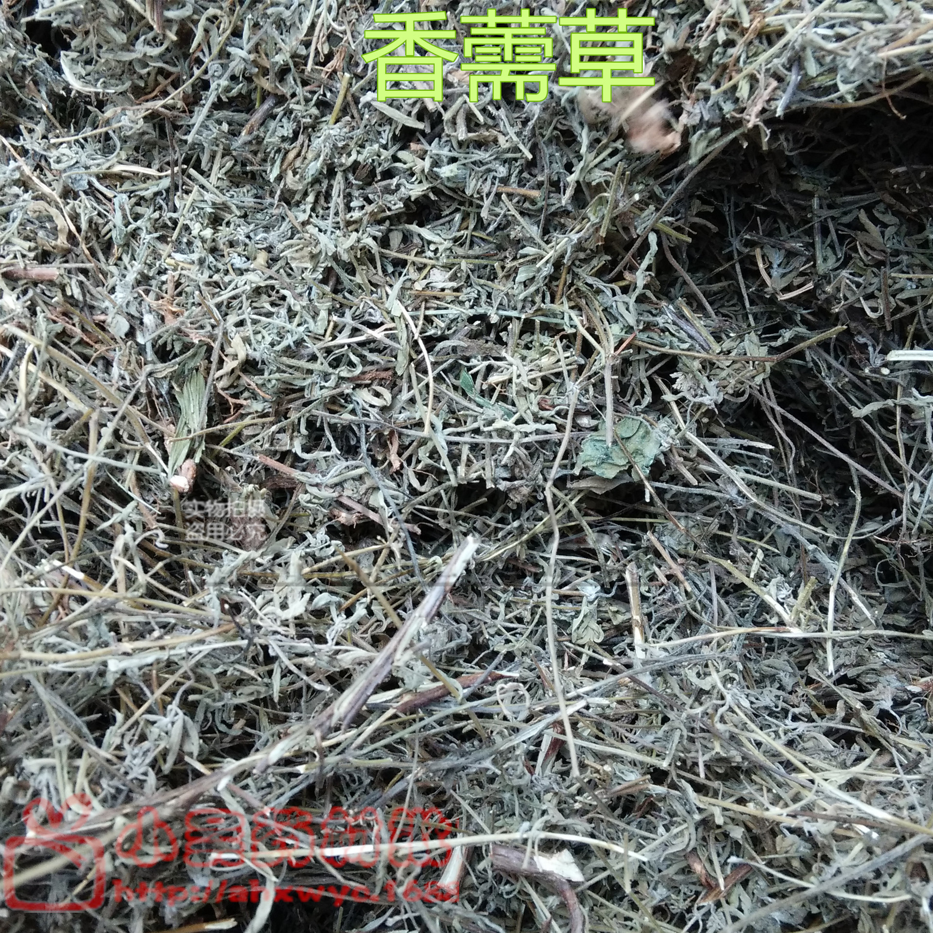 供应精选香薷片 正品香薷草 同仁堂品质发汗解暑 行水散湿实图