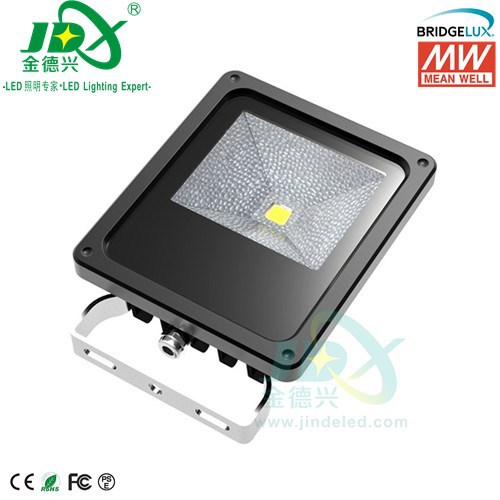 JDFL01003- 10W Bridgelux Meanw