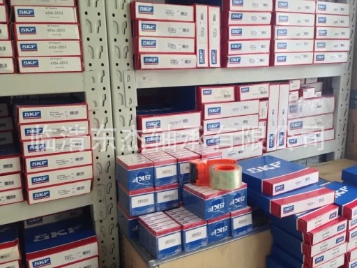 SKF (2)