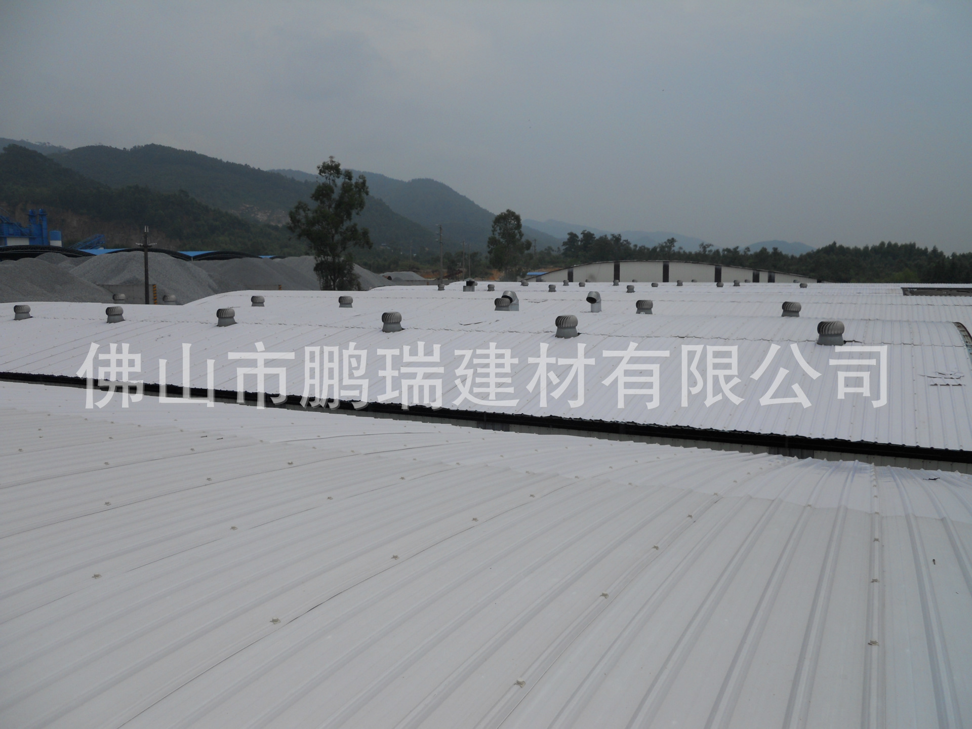 DSCN1877