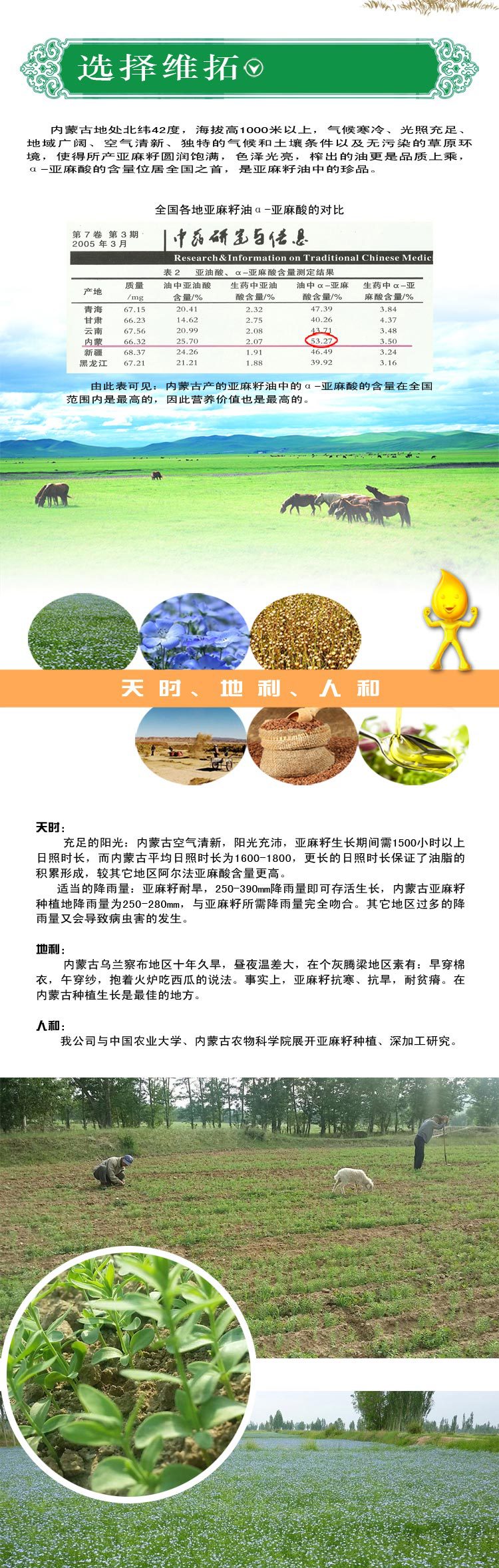 養(yǎng)生堂推薦內(nèi)蒙古黃金亞麻籽 非轉(zhuǎn)基因 特級(jí)精選防三高癌癥治便秘