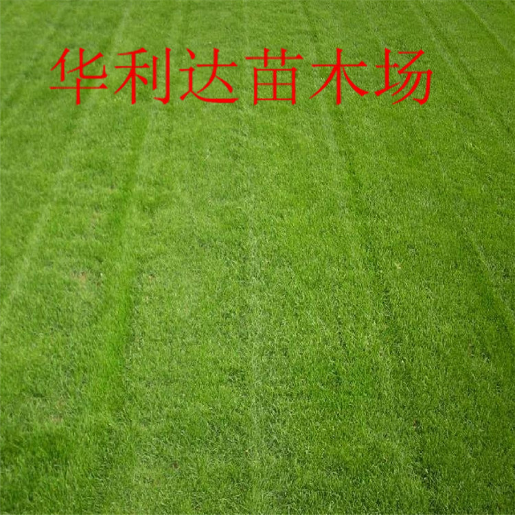 QQ截图20140425114249