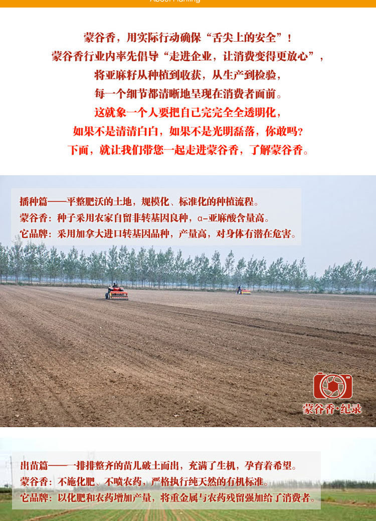 專業(yè)生產(chǎn)供應(yīng)內(nèi)蒙古谷香脫蠟冷榨亞麻籽油 優(yōu)質(zhì)含量高亞麻籽油