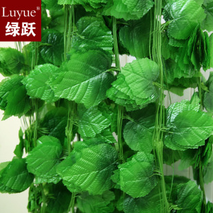 花架过道房顶装饰假花藤蔓藤条仿真葡萄藤大葡萄叶绿叶批发30片图片