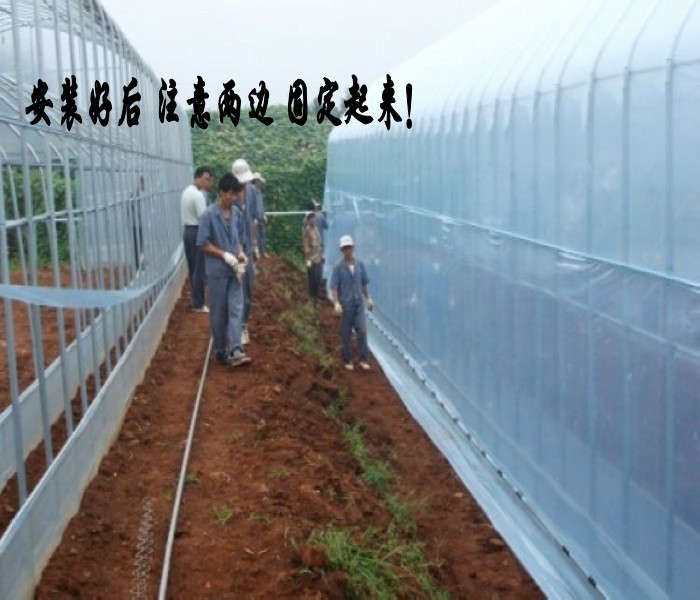 厂家批发塑料薄膜 耐高温塑料薄膜 农用薄膜 温室大棚膜 无滴膜