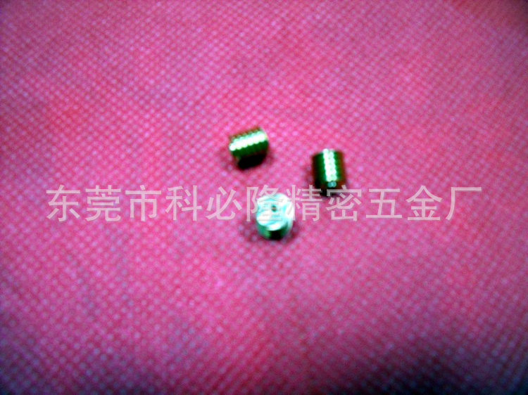 小雙頭蝸桿_2319